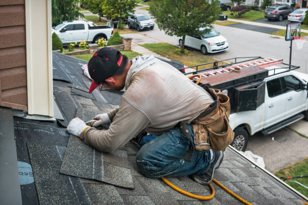 Professional Storm Damage Roof Repair technician working in Diamond, IL